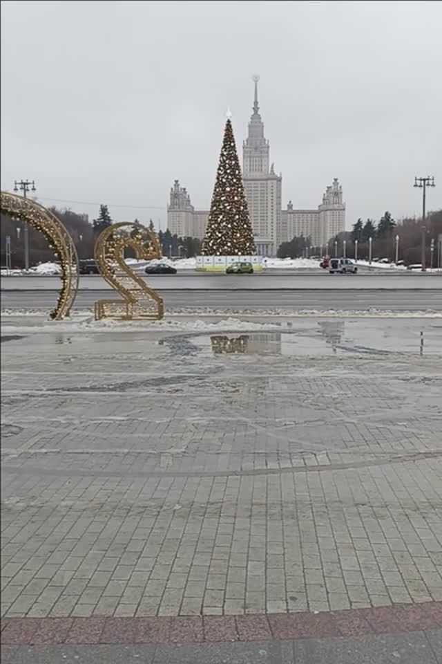 Москва Новогодняя с Воробьёвых гор