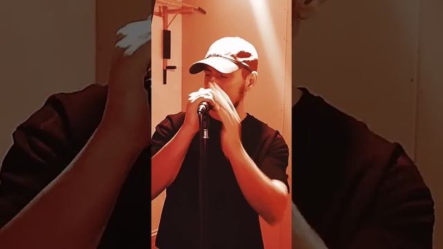 поговори со мною мама #cover #музыка #pop #песня #кавер #music #песни #шансон #singer #live