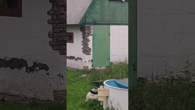 2022 год, зайчата