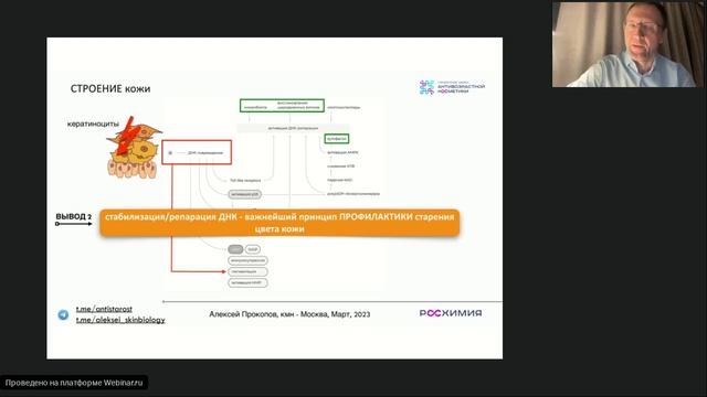 Пигментация кожи: детективная история про меланин и эпидермис