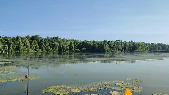 Заливы реки Иж.