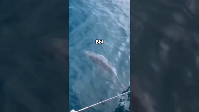 Жизнь самое бесценное!