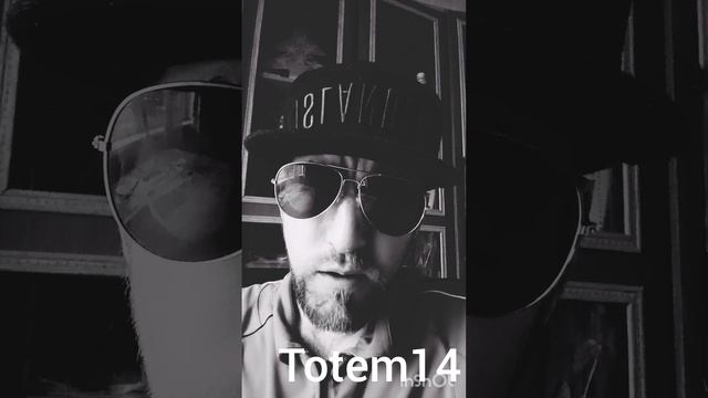 Тотем14 о книге #История_единицы_из_ниоткуда_или_взгляд_в_прошлое