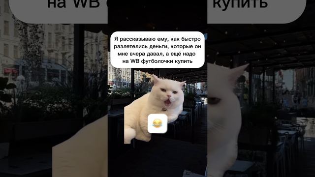 Бренд на WB: 😎АЖВУ😎 @ajvybrandagla телеграмм канал бренда #shorts