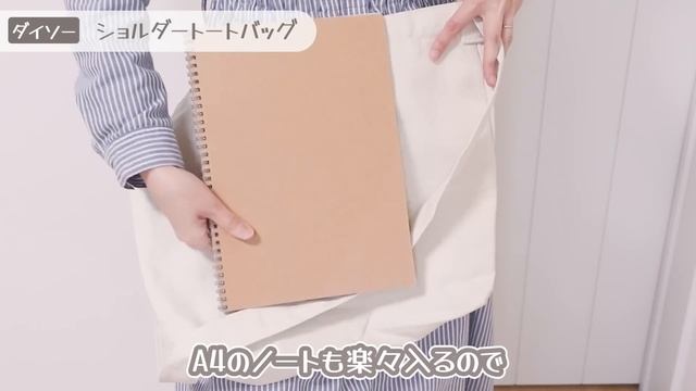 【100均】こんなのが欲しかった！収納力やばい✨ダイソーで買える優秀バッグ5選 Part 2【DAISO】