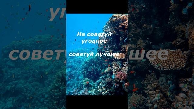 Мудрые цитаты для жизни