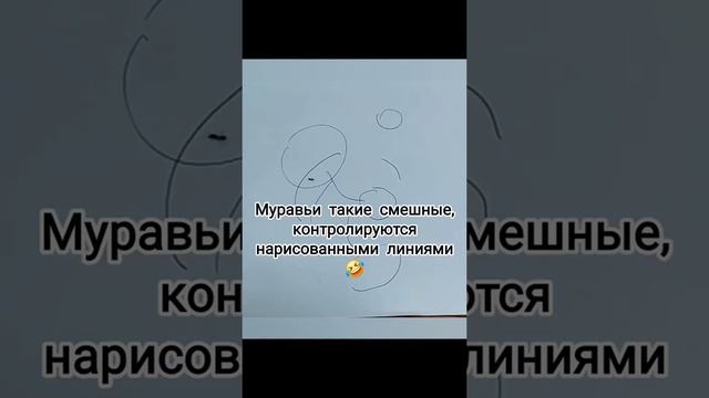 Люди как муравьи ©