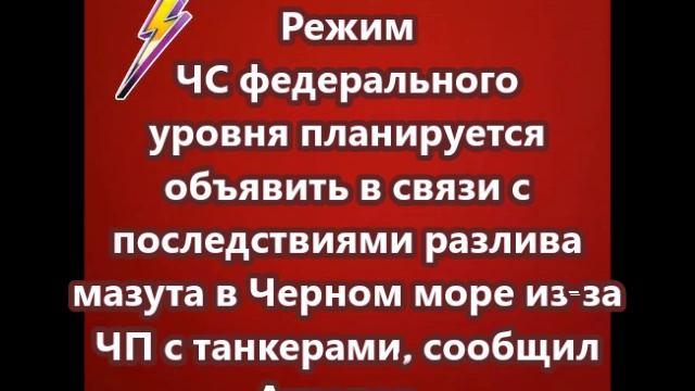 Режим ЧС федерального уровня планируется объявить в связи с последствиями разлива мазута в Черном мо