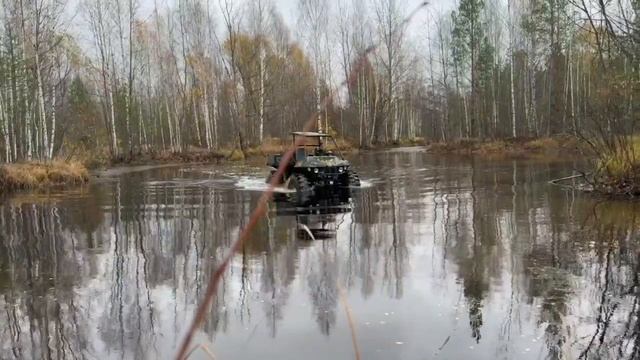 Вожак