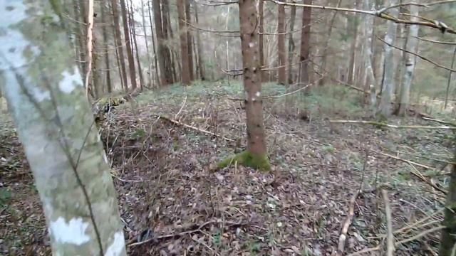 Поджигаем порох из кучи патронов. Много инструмента времен войны и другие находки. Коп по войне.