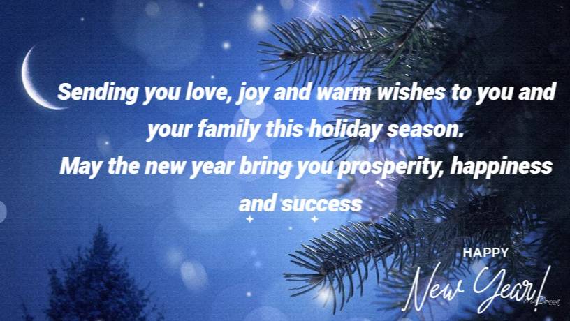 We wish you a Merry Christmas and a Happy New Year!
