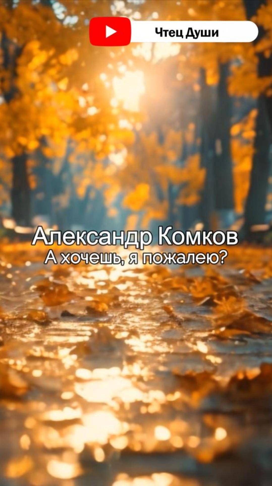 Стих  "А хочешь, я пожалею?" ,   Автор Александр Комков #стихи #поэзия #стих"