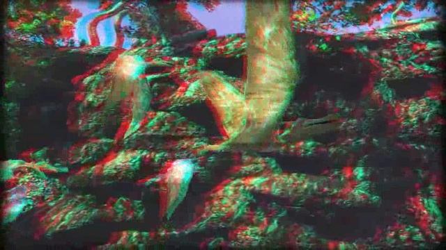 26-12-2024