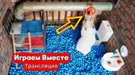 Хомяк попал в тюрьму для умных животных 🐹 Выбираемся вместе ! Трансляция для детей