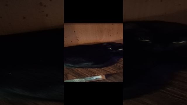 Чаепитие. 1ч. Тиша