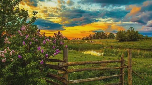 Моя Малая Родина