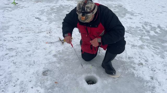 Видеообзор с водоема