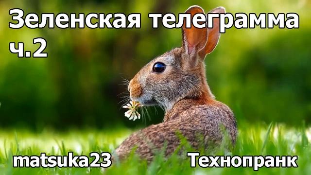 Matsuka23 Зеленская телеграмма 46-ОЗГТ Часть 2