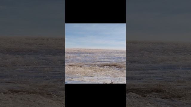 Прекрасное рядом!