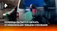 "Спасайся кто может!": массовое бегство от "могилизации" на Украине набирает обороты