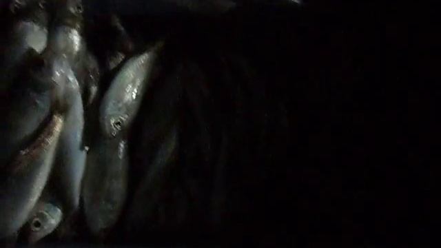Улов Fish