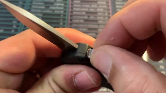 HK / Hogue Micro Incursion OTF
