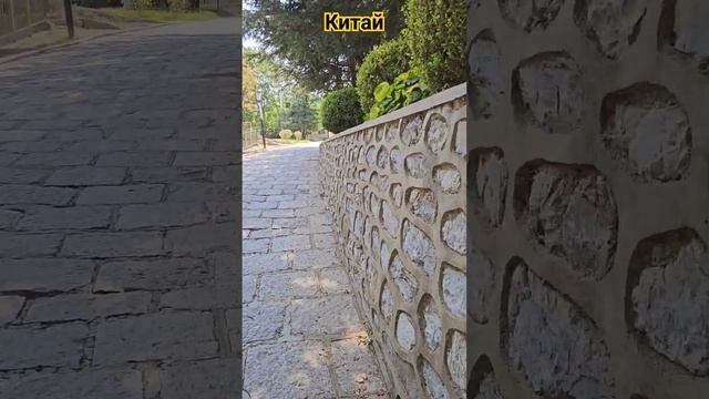 Красота... #пешкомпомиру #пешкомпокитаю #китай #далянь #тревел #путешествия