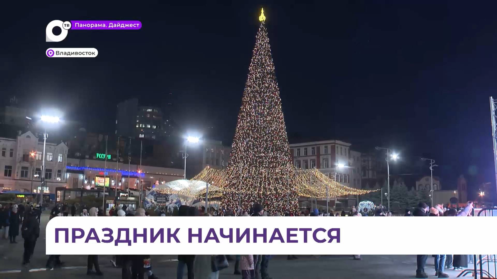 Новогодний городок открылся на центральной площади Владивостока