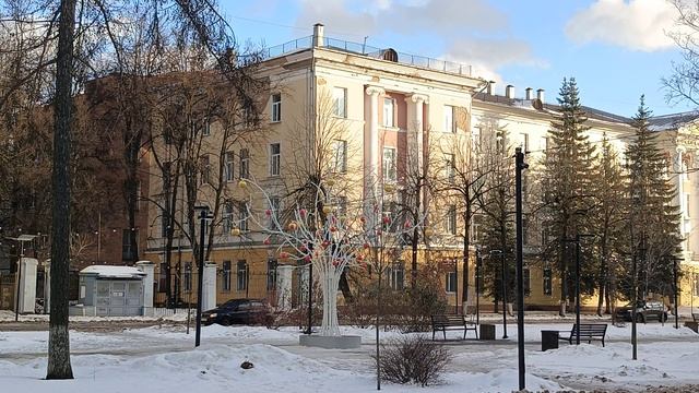 типо елка