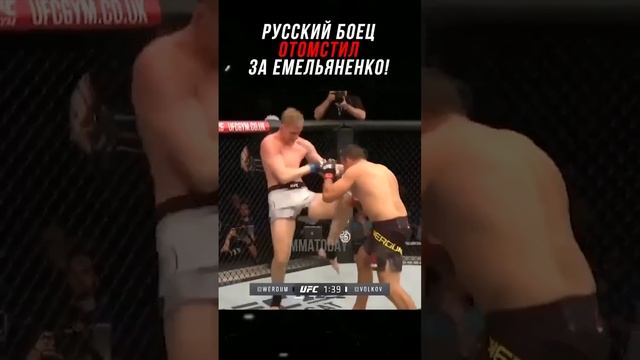 Видео by Кулаки #3001
