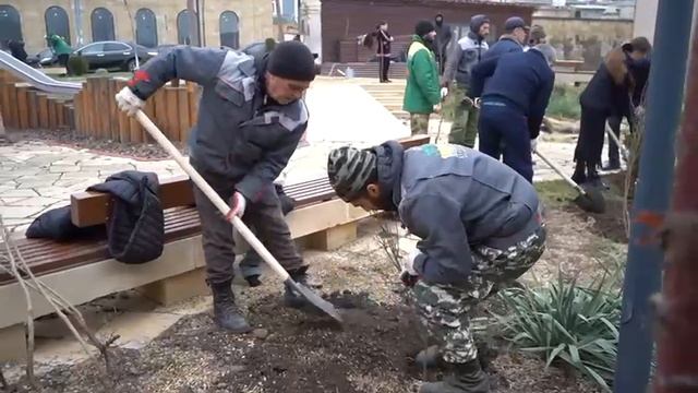 Сотрудниками Дербентского музея-заповедника была проведена экологическая акция «Посади свое дерево»