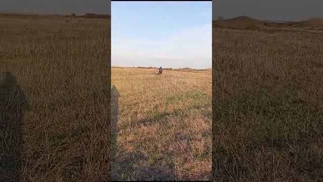 11 летний сын учится ездить на скутере