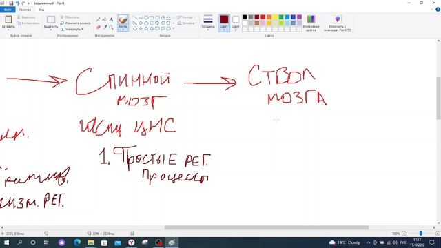 Некоторые особенности нервной регуляции