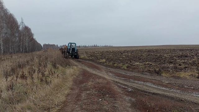 Заготовка дров.mp4