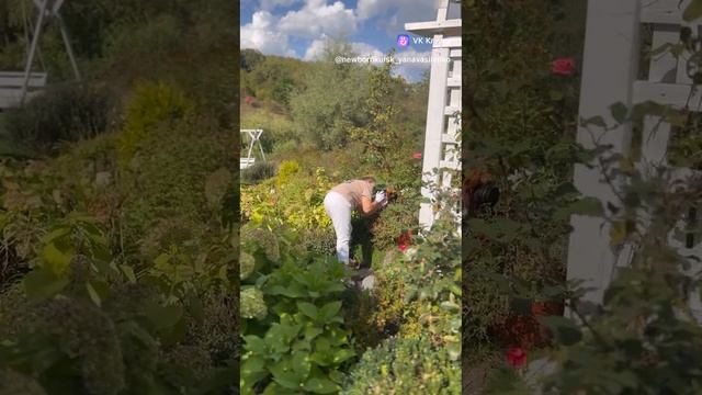 clip736199800_456239702