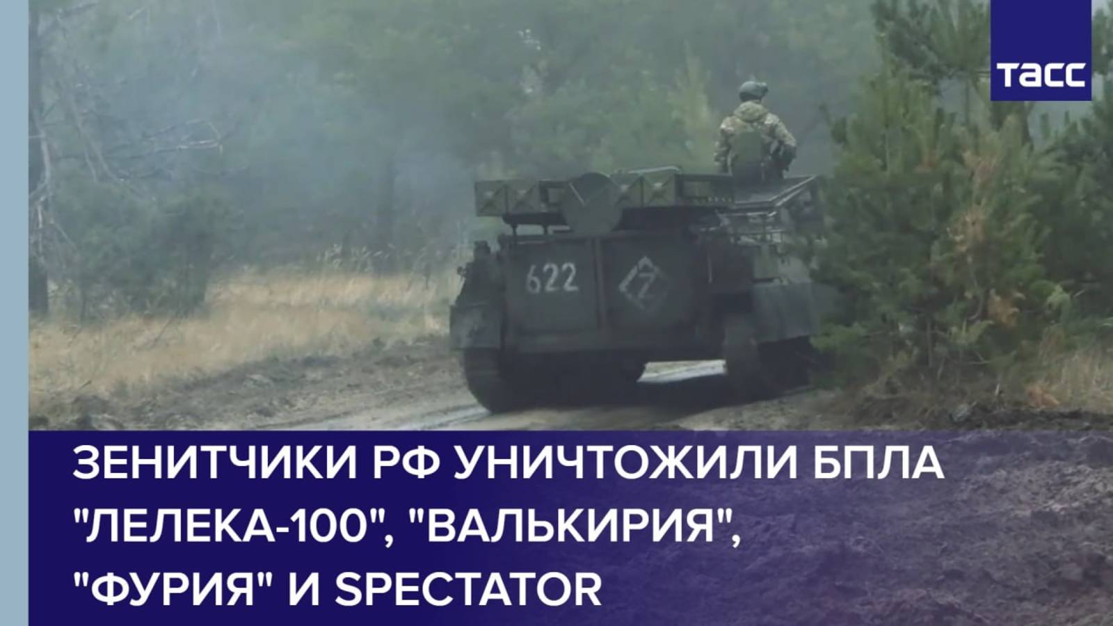 Зенитчики РФ уничтожили БПЛА "Лелека-100", "Валькирия", "Фурия" и Spectator