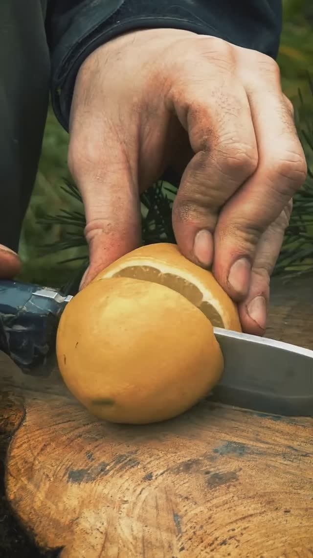 Настой рома, хвоя, лимон. Что вы думаете?