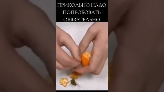 1000026126.mp4