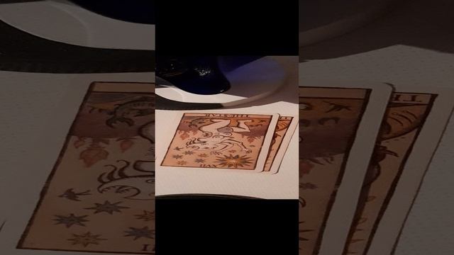 20241227_231503.mp4  На чём основан рейтинг доверия