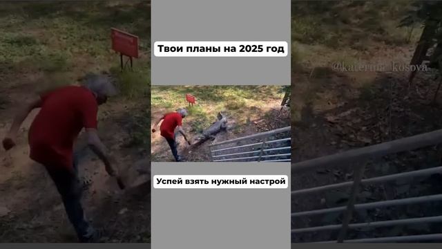 Твой лучший настрой на 2025 год