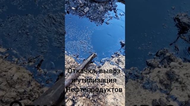 Откачка мазута , битума , гудрона . вывоз и утилизация  . +79775440505