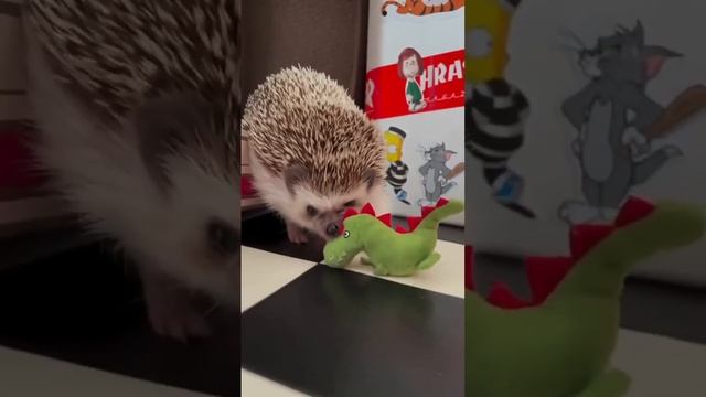Так вот почему вымерли динозавры.. 😂