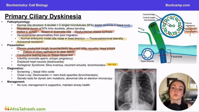 Primary Ciliary Dyskinesia atf