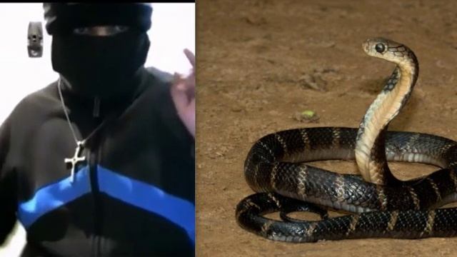 Иблис и Змея