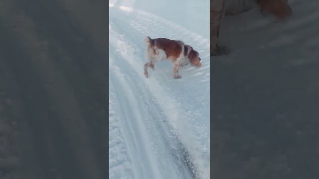 24.12.241412 Прогулка на природе