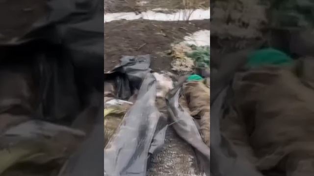Подарки под елку тем кто призывал резать русню