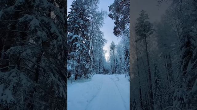 Русский Север