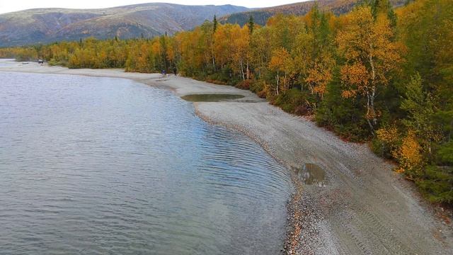 Осень листьями , листьями землю выстелит...