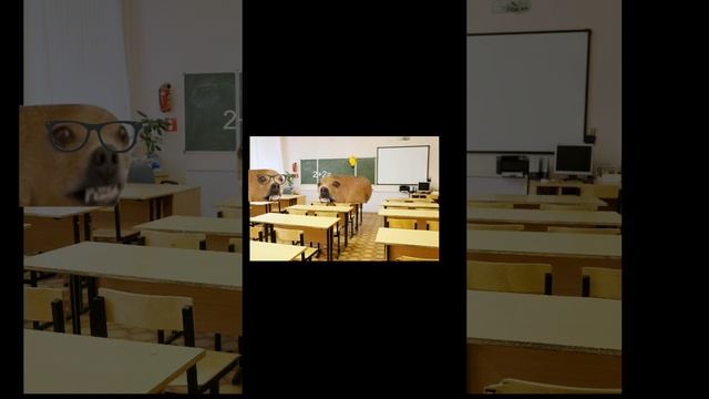 моя первая анимация