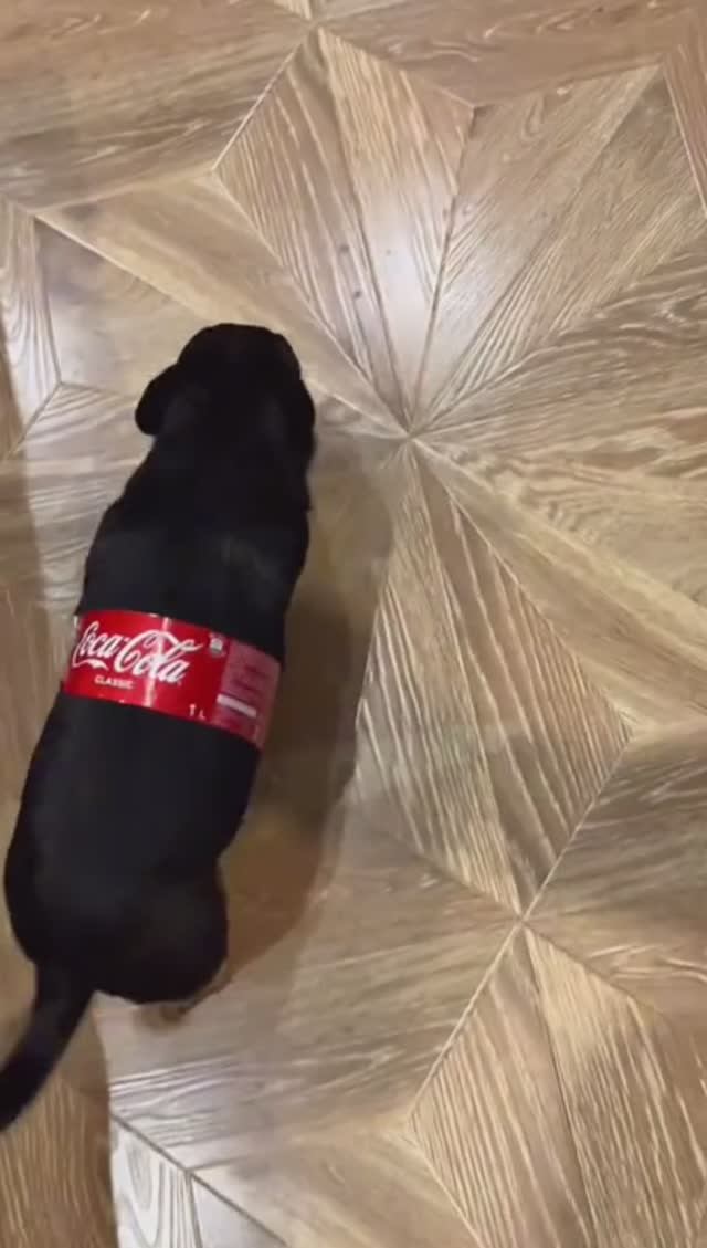 Где кокакола?